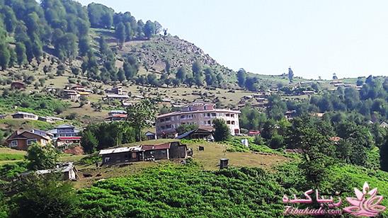 .:آلبوم عکسهای خودگرفته ما:.